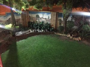 Garden-night